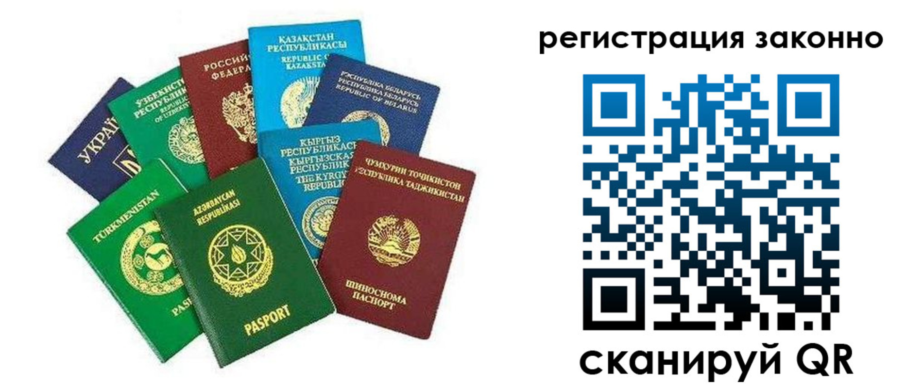 прописка 2025 в Бабаево